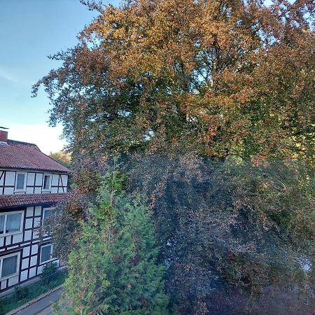 Gemuetliche Ferienwohnung Im Harz Bad Grund Zewnętrze zdjęcie
