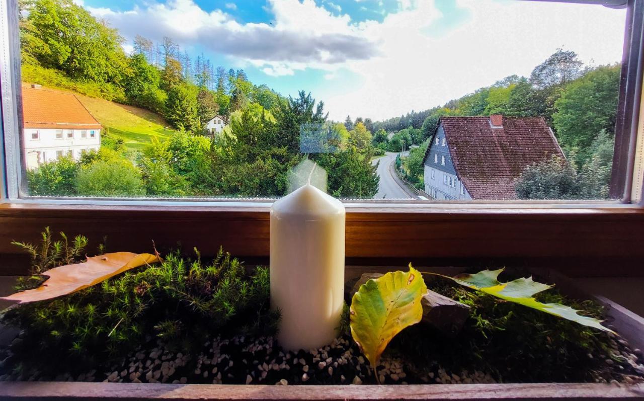 Gemuetliche Ferienwohnung Im Harz Bad Grund Zewnętrze zdjęcie