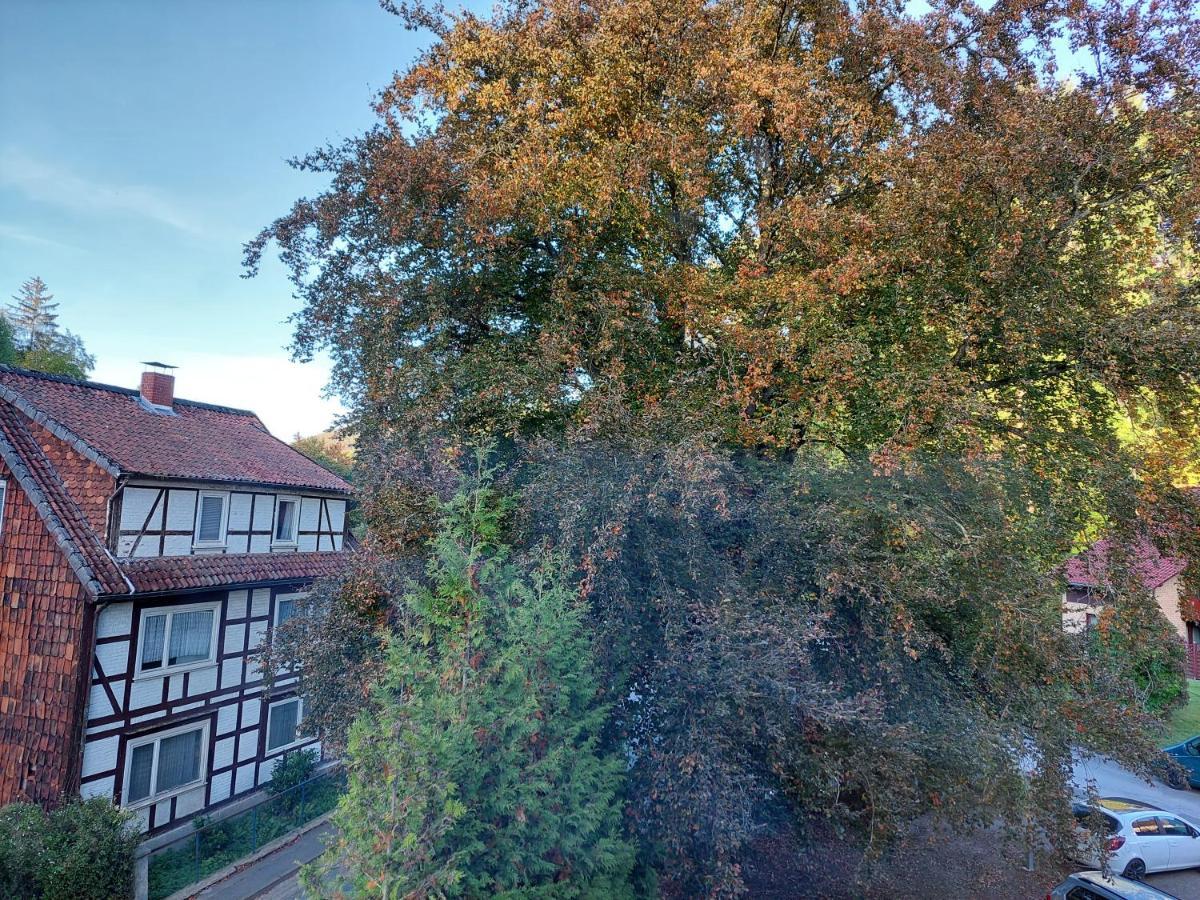 Gemuetliche Ferienwohnung Im Harz Bad Grund Zewnętrze zdjęcie